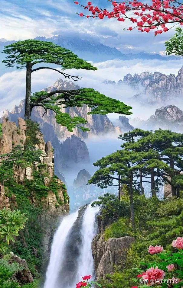 巴解组织:停止对联合国近东救济工程处的支持会带来巨大风险